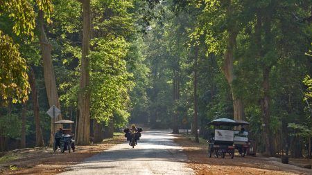 Siem Reap The Green City