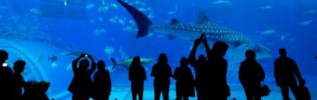 Siem Reap Angkor Wildlife and Aquarium complex