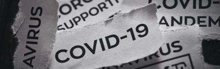 IPS Cambodia during Pandemic