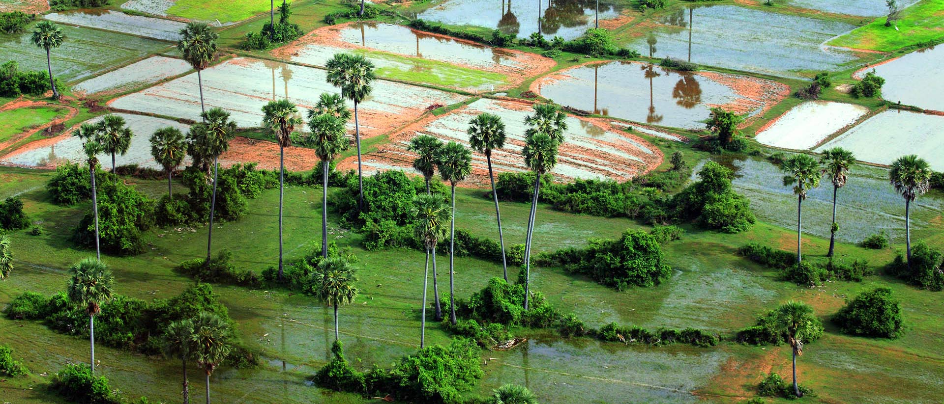 land in cambodia