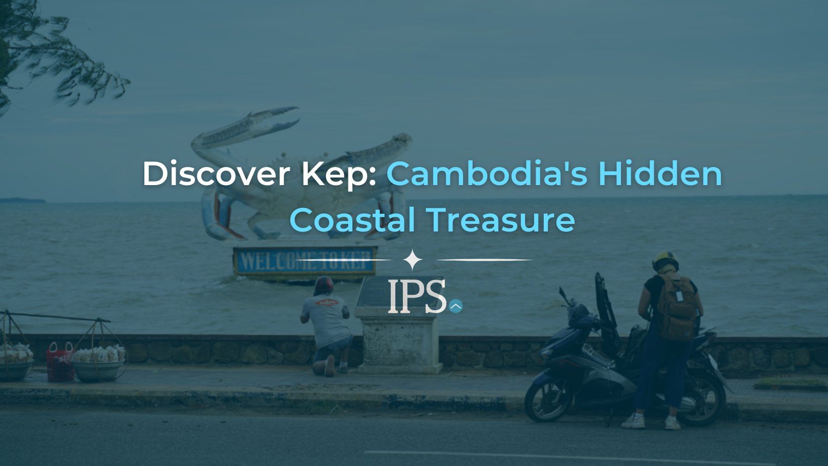 PP - Website Covers2